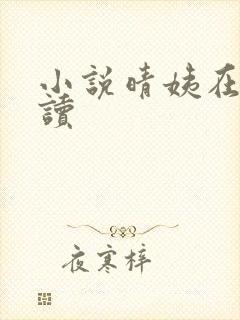 小说晴姨在线阅读