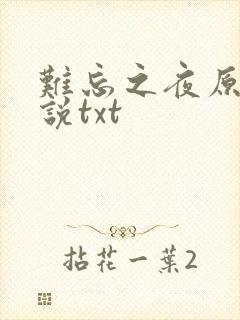 难忘之夜原著小说txt