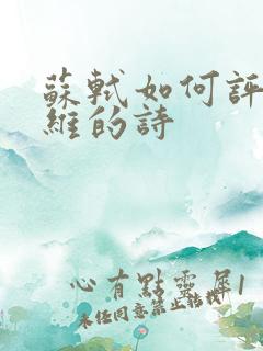 苏轼如何评价王维的诗
