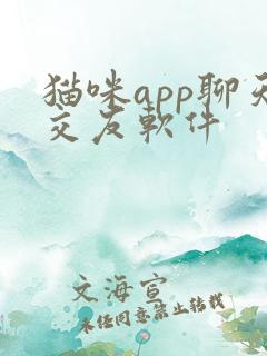 猫咪app聊天交友软件