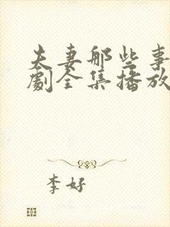 夫妻那些事电视剧全集播放