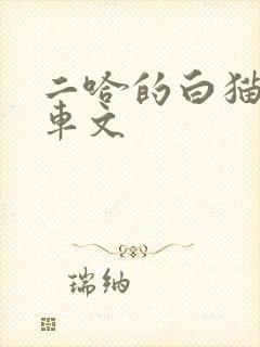 二哈的白猫师尊车文