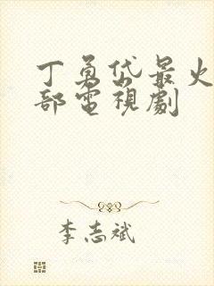 丁勇岱最火的三部电视剧