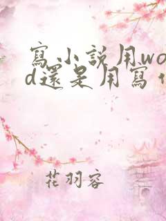 写小说用word还是用写作软件好