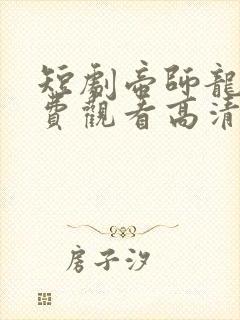 短剧帝师龙婿免费观看高清