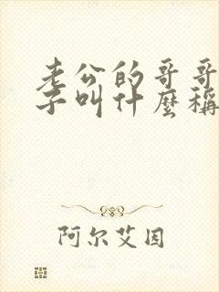 老公的哥哥的儿子叫什么称谓