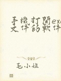 手机打开exe文件的软件