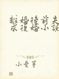 离婚后前夫哭着求复婚小说阅读全部