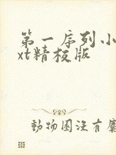 第一序列小说txt精校版