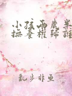小孩两岁半离婚抚养权归谁