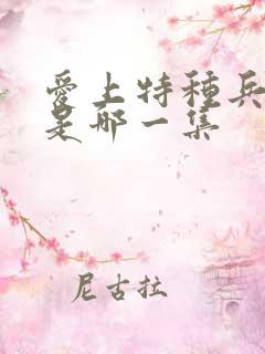 爱上特种兵亲吻是哪一集