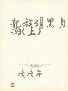 龙族3·黑月之潮(上)