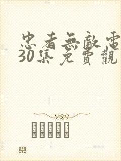 忠者无敌电视剧30集免费观看高清