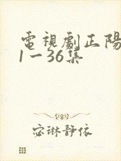电视剧正阳门下1一36集
