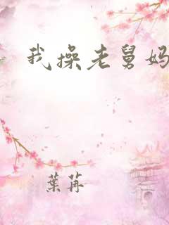我操老舅妈