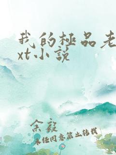 我的极品老婆txt小说