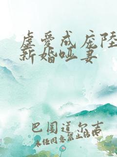 虐爱成庞陆总的新婚哑妻