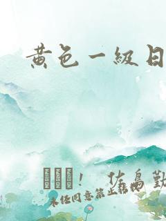 黄色一级日韩片