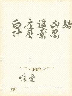 白夜追凶结局是什么意思