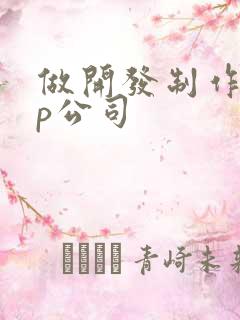 做开发制作app公司