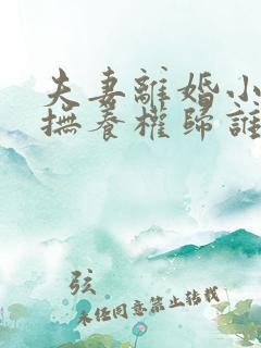 夫妻离婚小孩的抚养权归谁