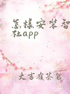 怎样安装智慧人社app