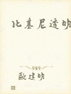 比基尼透明泳衣