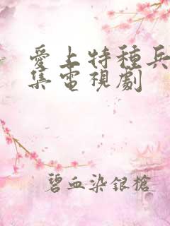 爱上特种兵40集电视剧