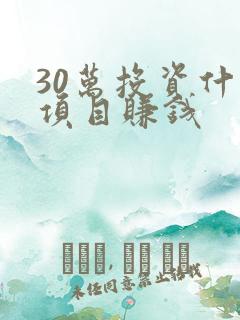 30万投资什么项目赚钱