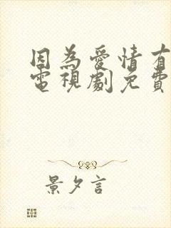 因为爱情有幸福电视剧免费观看全集