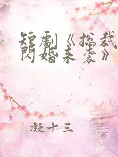 短剧《总裁有疾闪婚来袭》在线观看
