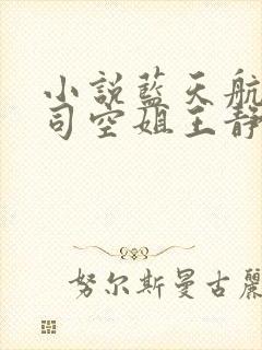 小说蓝天航空公司空姐王静阅读