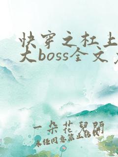 快穿之杠上反派大boss全文免费阅读