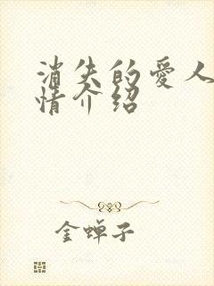 消失的爱人的剧情介绍