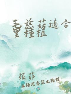 毛慈菇适合在哪里种植
