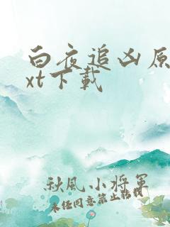 白夜追凶原著txt下载