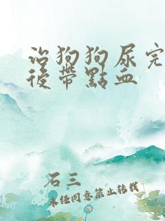 治狗狗尿完尿最后带点血