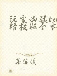 玩家凶猛txt精校版全本下载