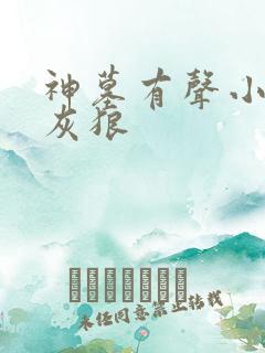 神墓有声小说大灰狼