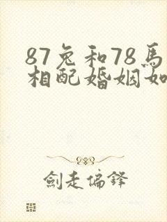 87兔和78马相配婚姻如何