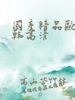 国产精品欧美日韩高清