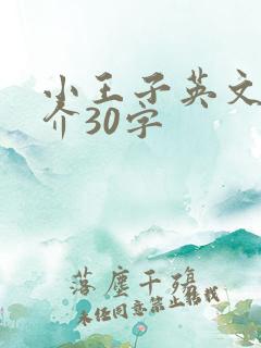 小王子英文版简介30字