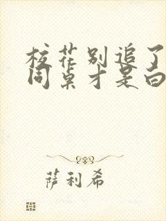 校花别追了高冷同桌才是白月光