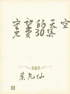 守望的天空全集免费30集