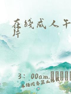 在线成人午夜毛片