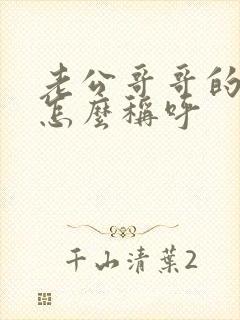 老公哥哥的老婆怎么称呼
