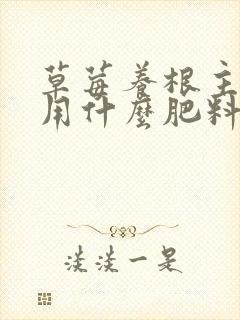 草莓养根主要是用什么肥料