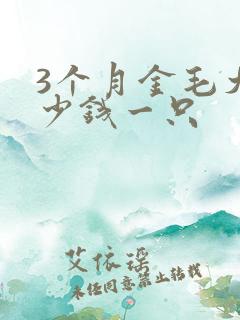 3个月金毛犬多少钱一只
