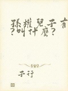 孙权儿子有几个?叫什么?