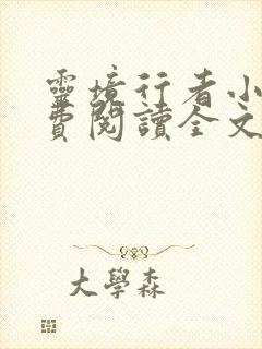 灵境行者小说免费阅读全文无窗口